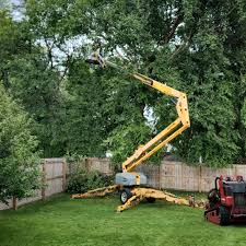 Best Aeration Services  in Ennis, TX