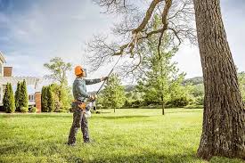 Best Lawn Pest Prevention  in Ennis, TX