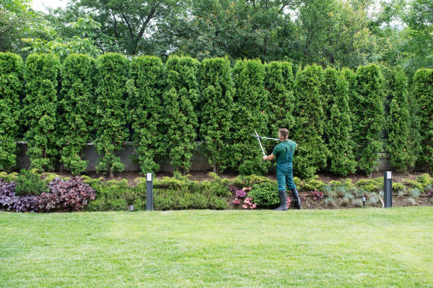 Lawn Watering Services in Ennis, TX