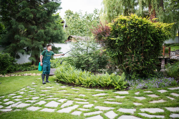 Best Lawn Irrigation Installation and Maintenance  in Ennis, TX